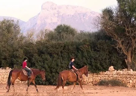 Son Baulo 3* Can Picafort (Mallorca)